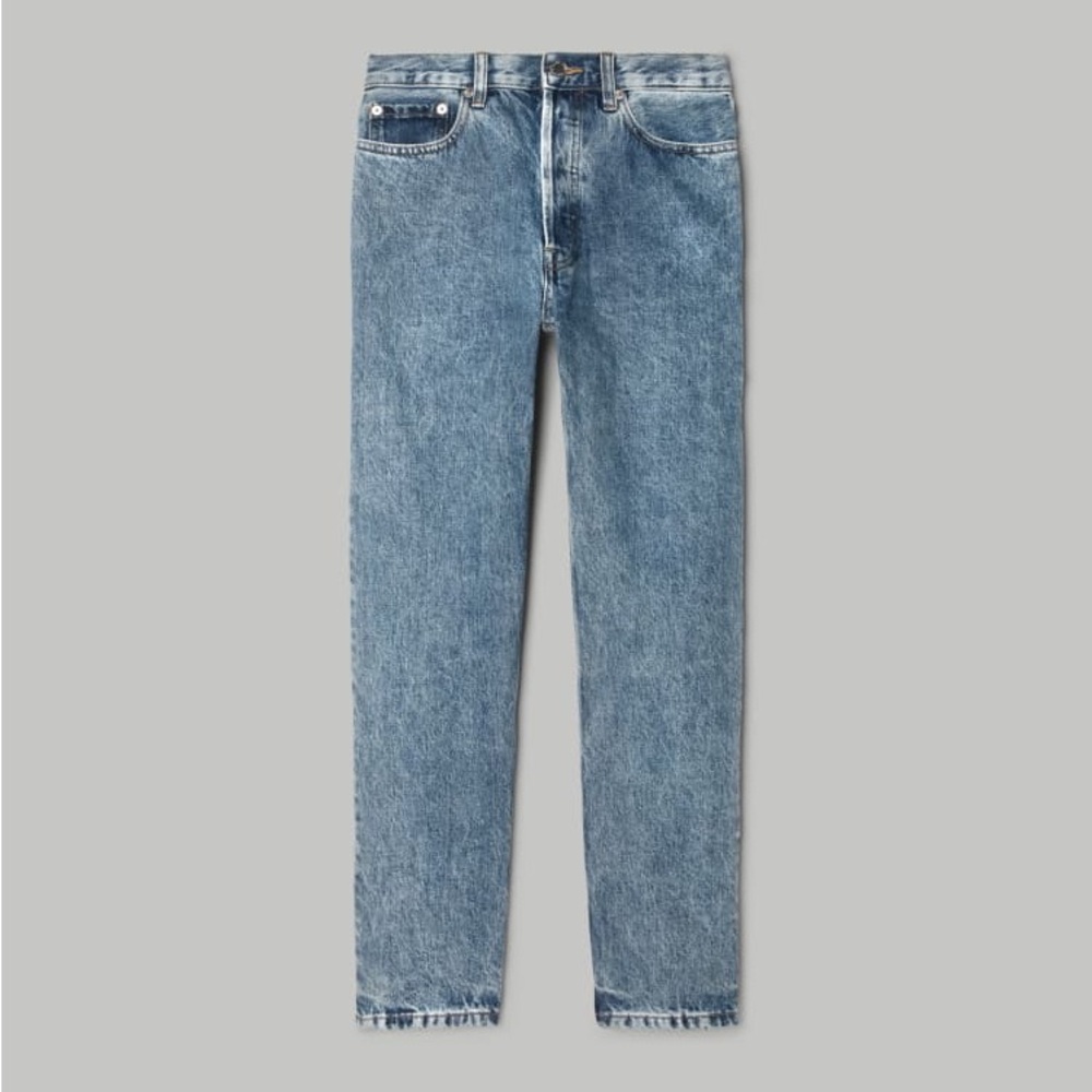 Everlane The Organic Cotton Rigid Slouch Jean (NWOT)